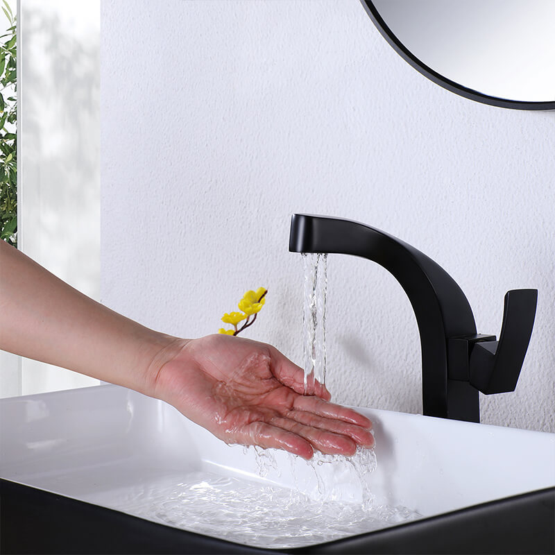 Hand Wash Sink Faucet Single Handle Black Bathroom Faucet (5)