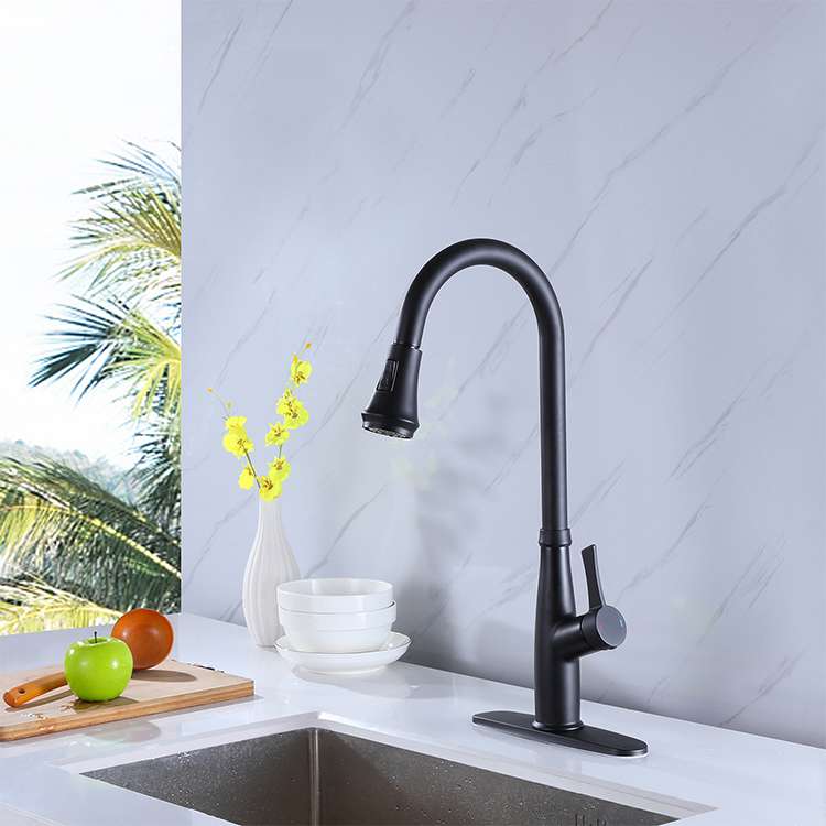 Kitchen Sink Faucets With Pull Down Sprayersingle Handle Magnetic Docking Spray Head Matte Black (1)