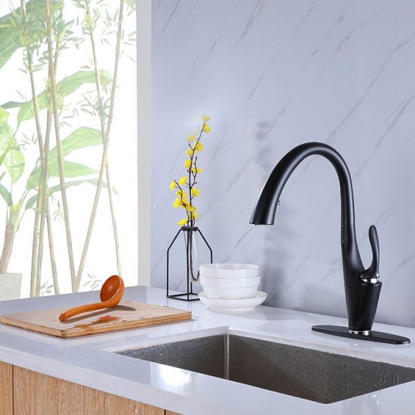 Water Ridge Faucet Brass Black Single Hole Kitchen Faucet for Sink