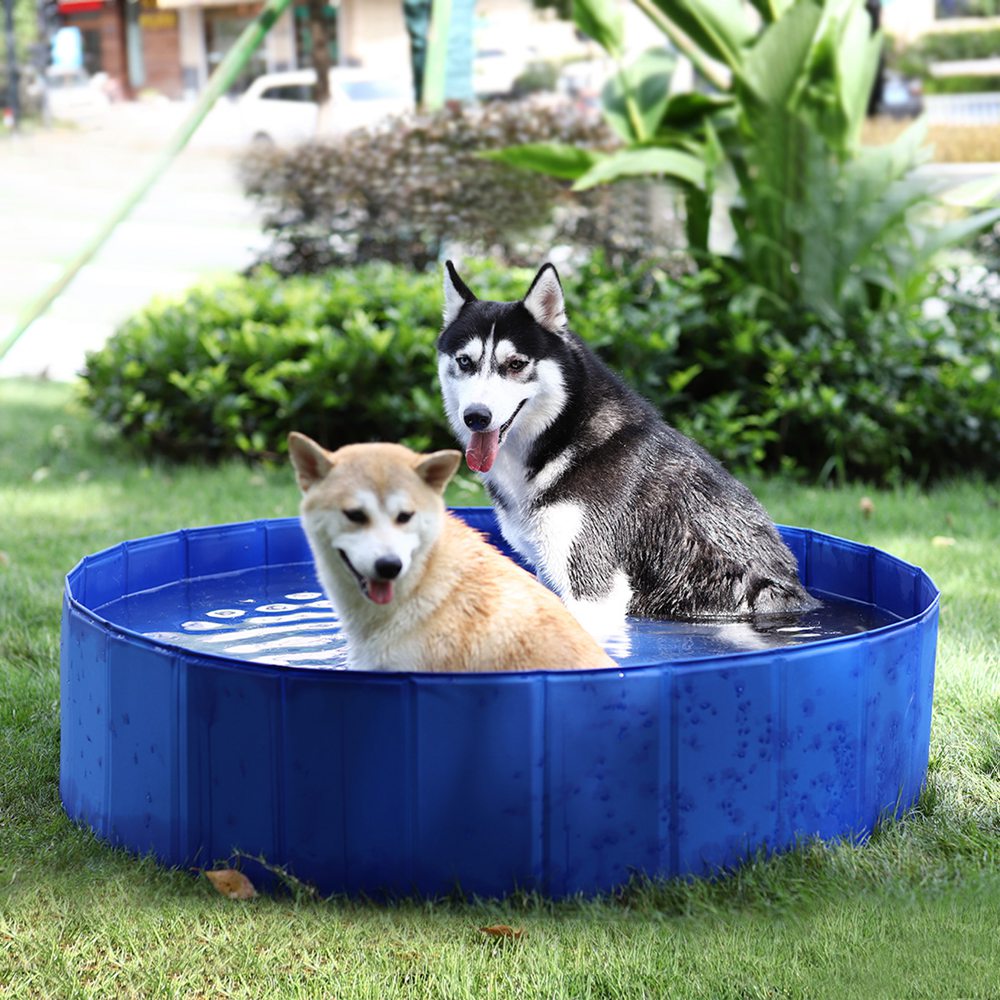 Outdoor Durable Pet Bathing Tub Kid Pool For Large Dog (4)