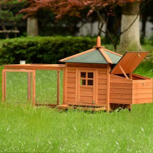 Poultry Cage Hutch With Removable Tray And Ramp For 3 Chickens Natural Color (23)
